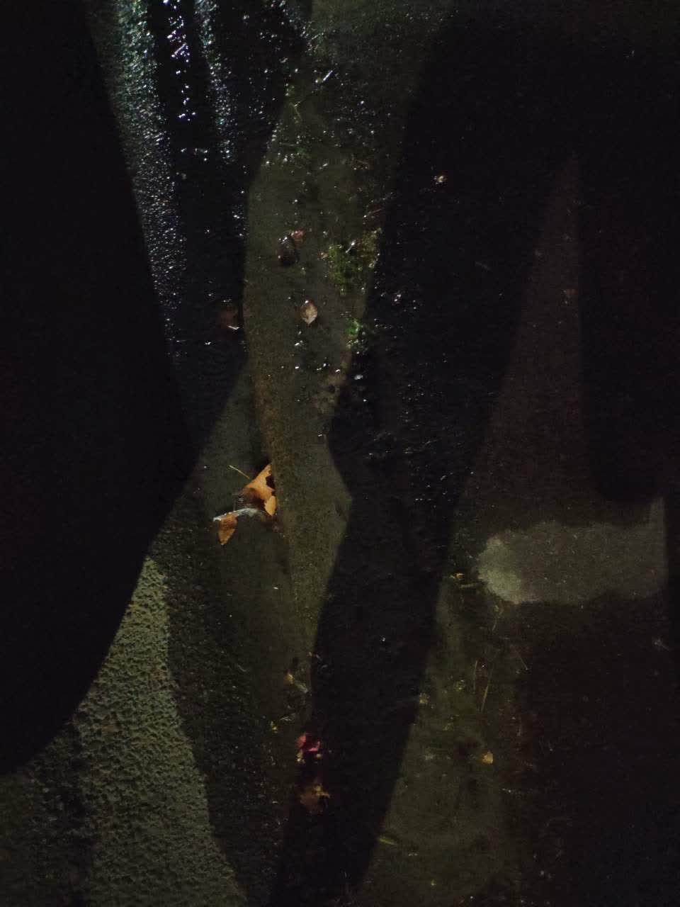 The photograph attached to this flooding report
