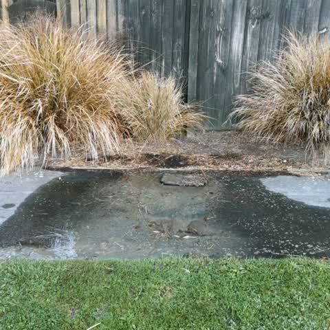 Water Supply, a report photo