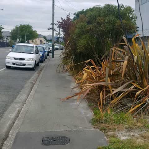 Roading/Streets, a report photo