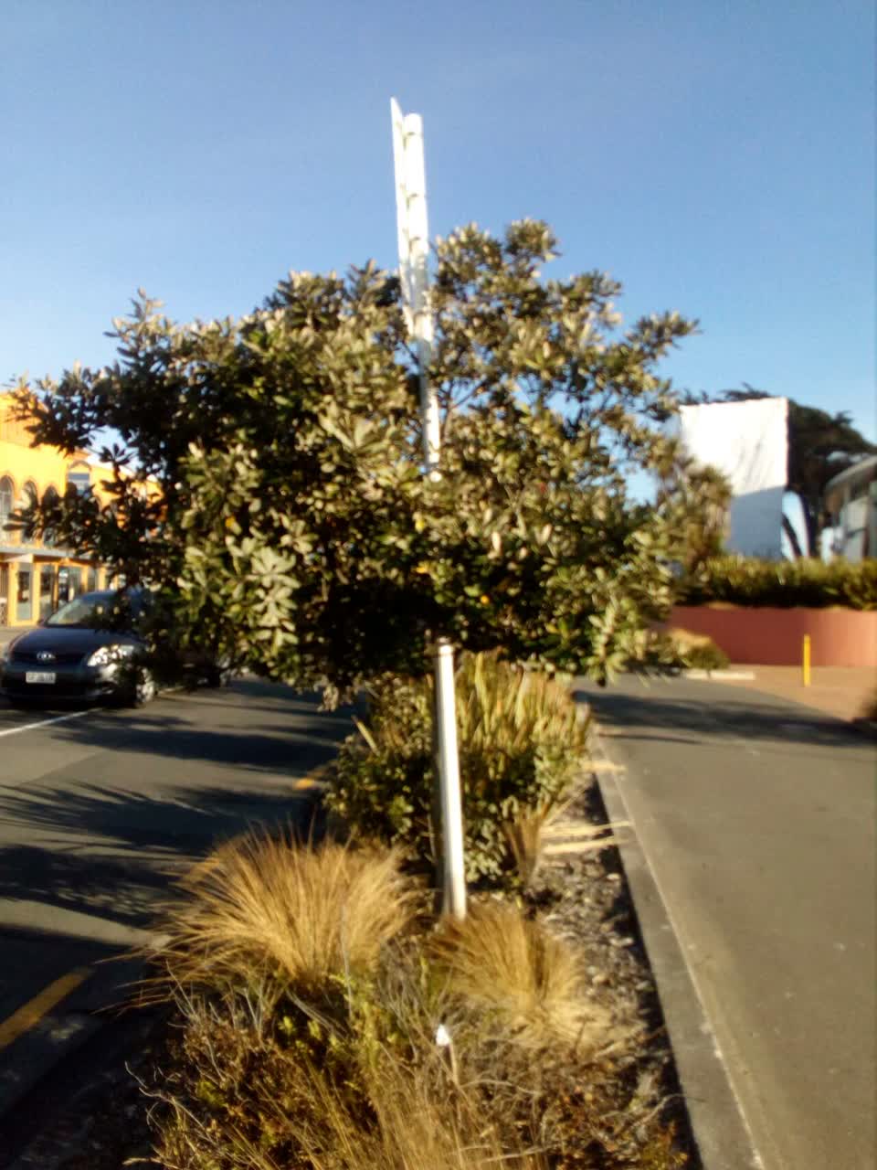 The photograph attached to this parks report