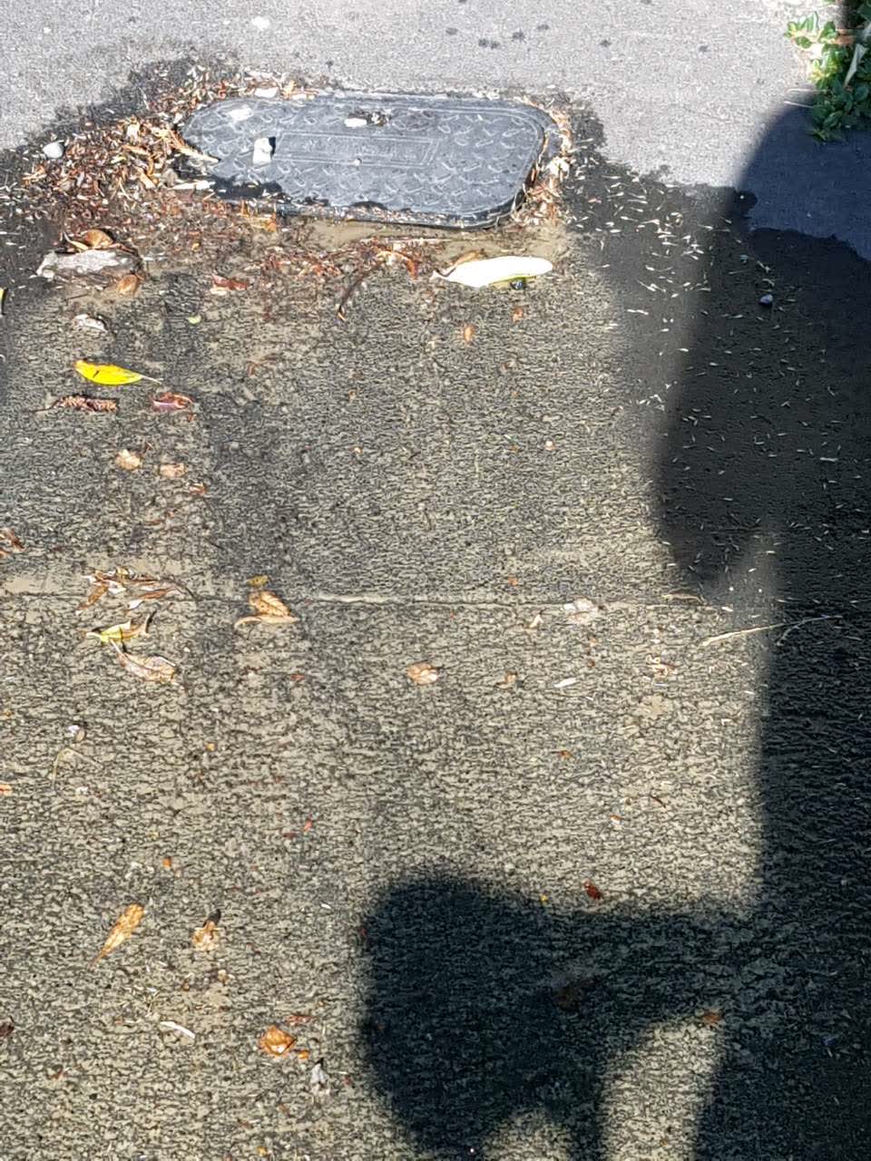The photograph attached to this water supply report