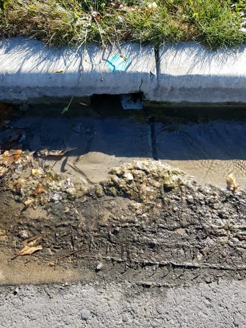 Water Supply, a report photo