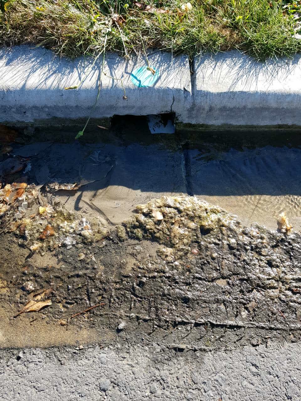 The photograph attached to this water supply report