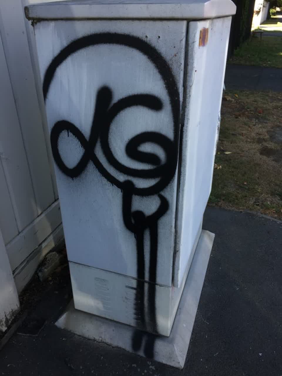 The photograph attached to this graffiti report