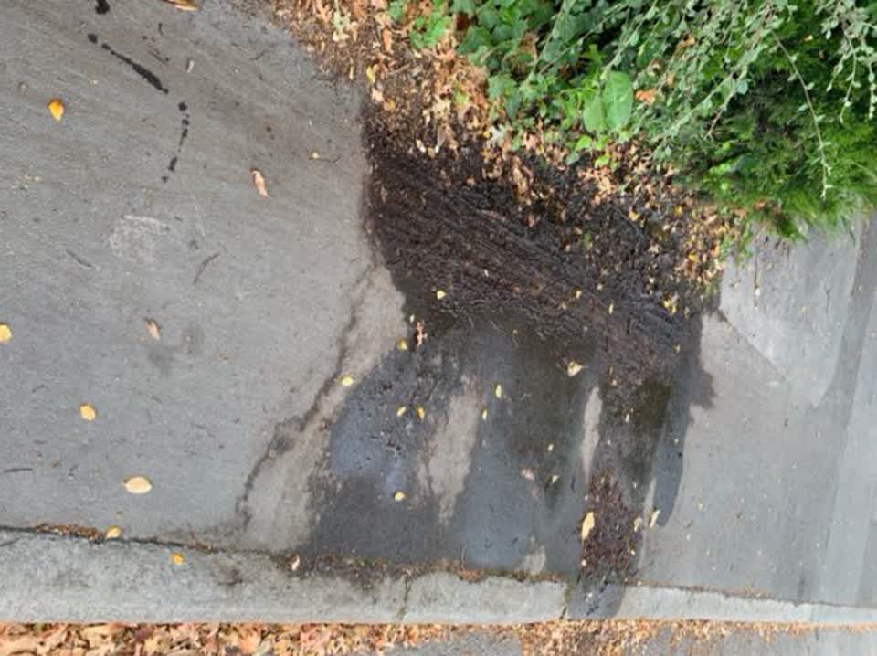 The photograph attached to this water supply report