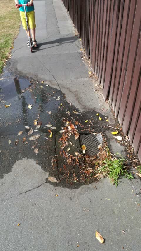 Water Supply, a report photo