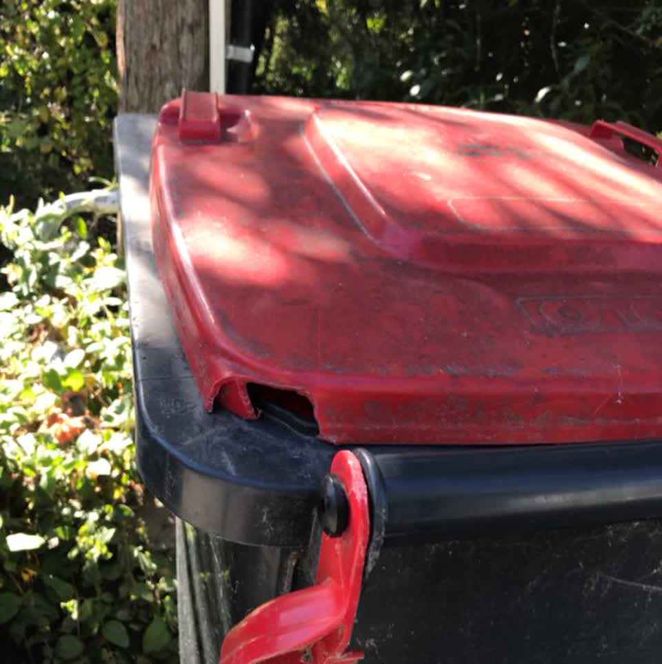 The photograph attached to this rubbish/recycling report