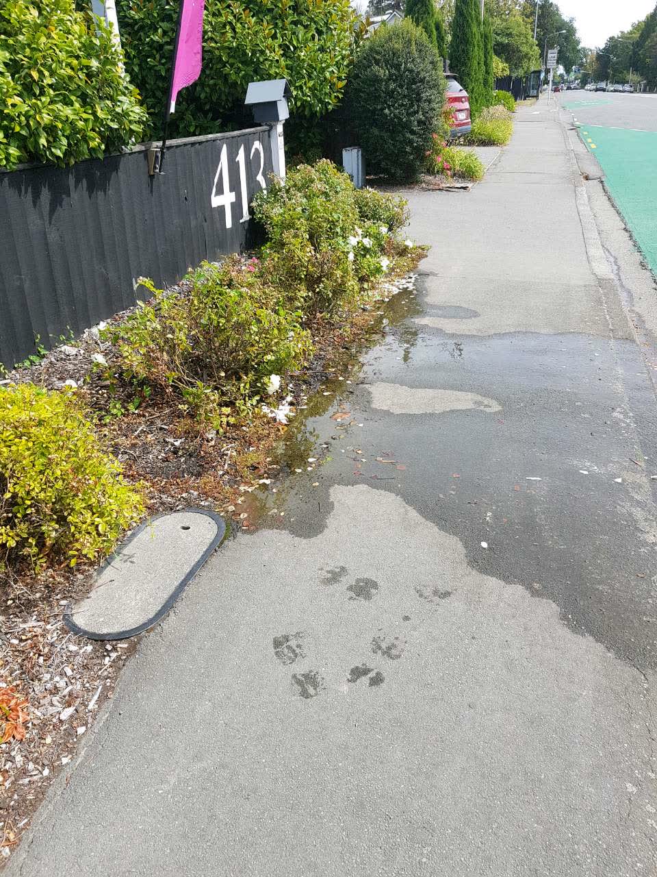 The photograph attached to this water supply report