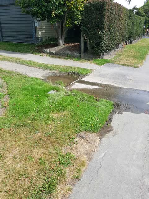 Water Supply, a report photo