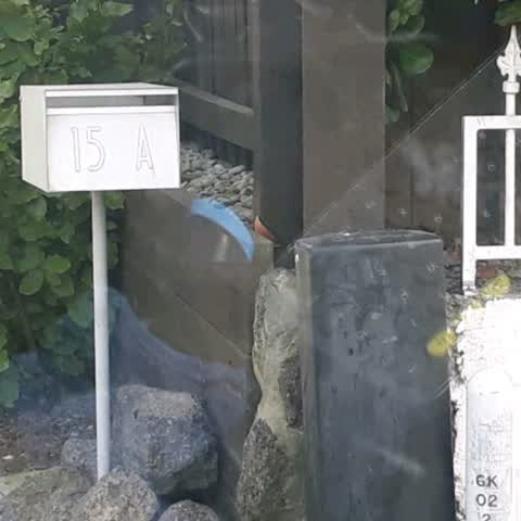 Water Supply, a report photo