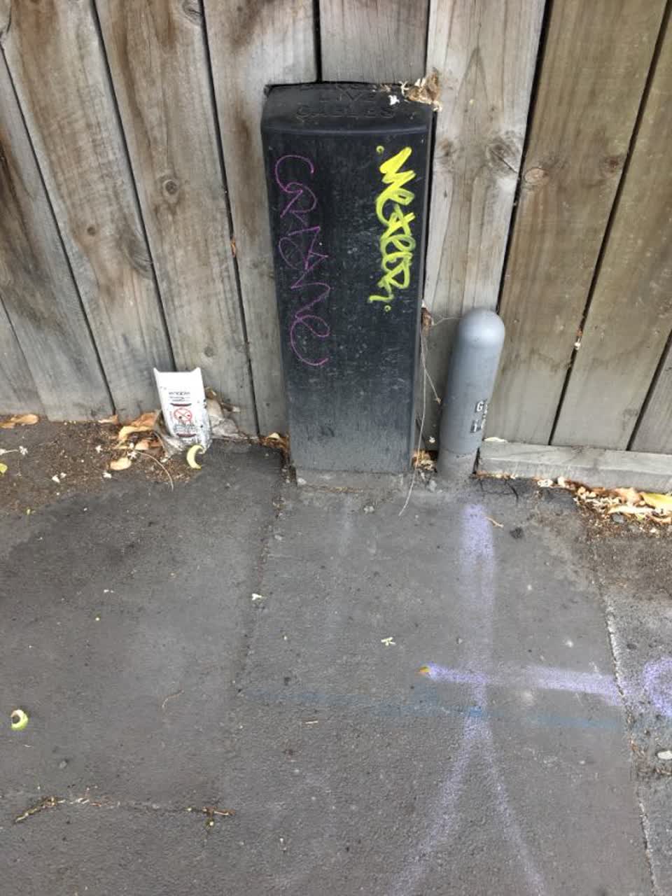 The photograph attached to this graffiti report