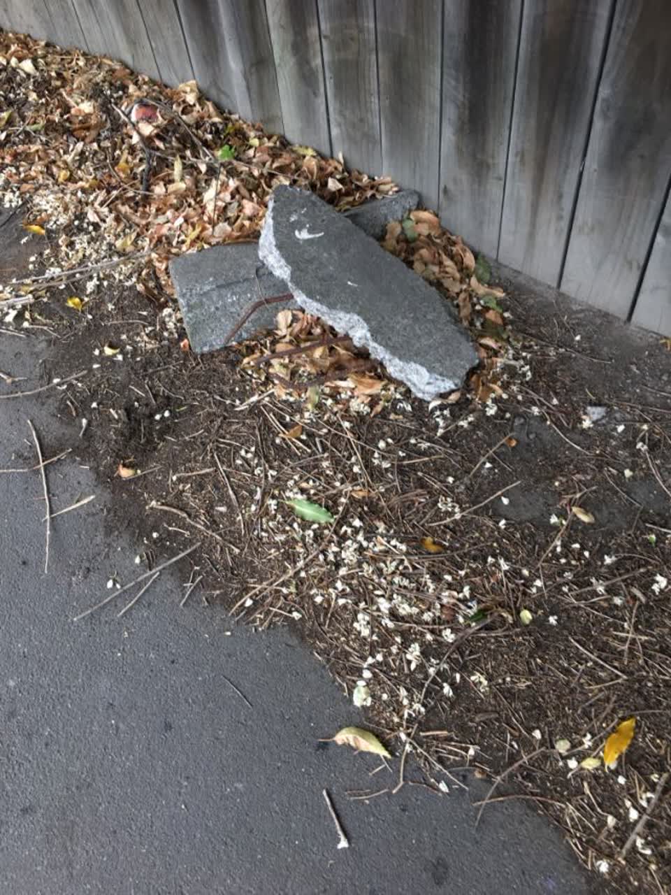 The photograph attached to this roading/streets report