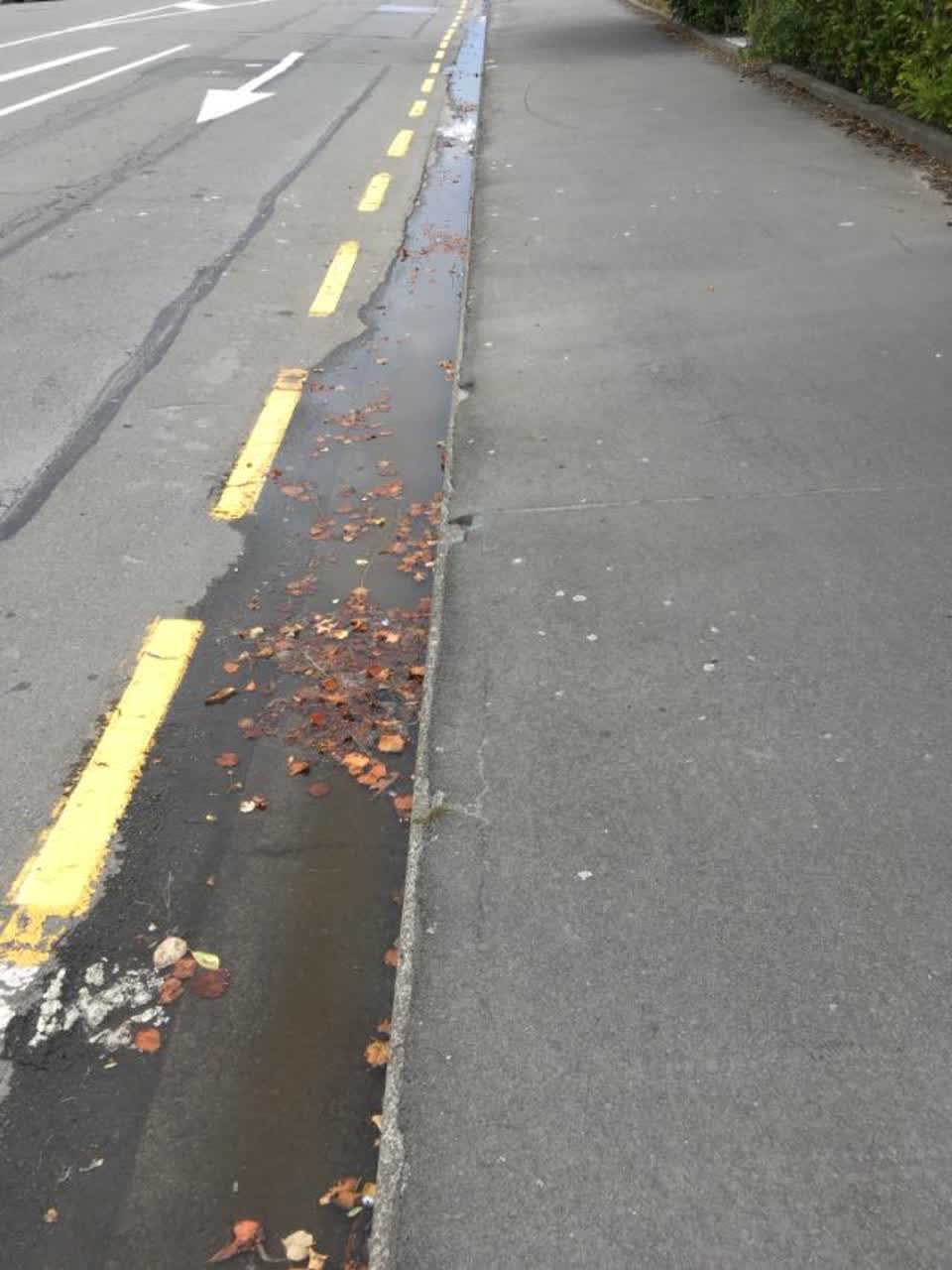 The photograph attached to this roading/streets report