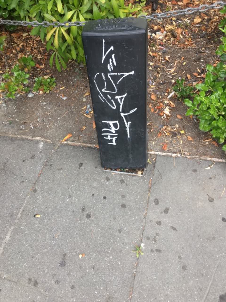 The photograph attached to this graffiti report