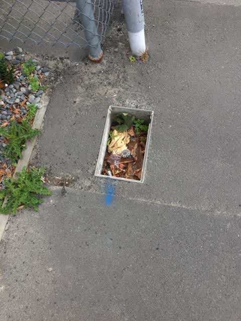 Roading/Streets, a report photo