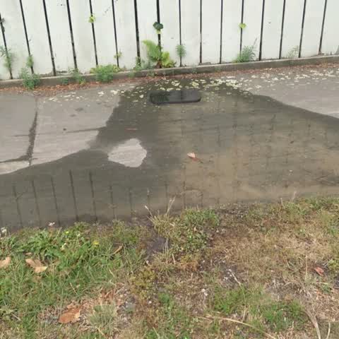 Water Supply, a report photo