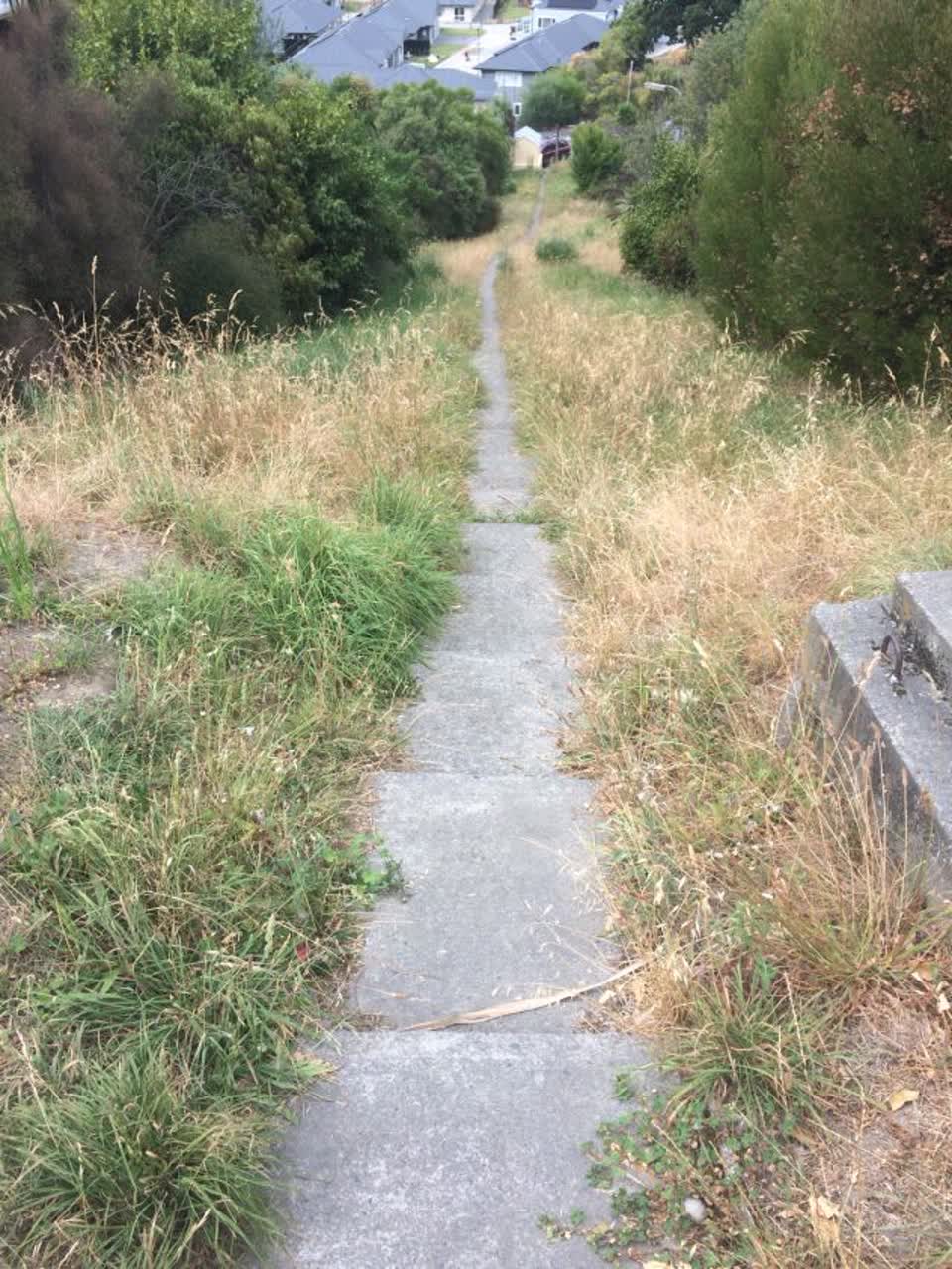 The photograph attached to this parks report