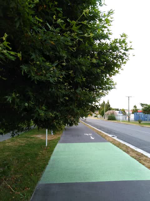 Roading/Streets, a report photo