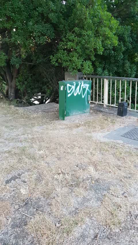Graffiti — a report photo