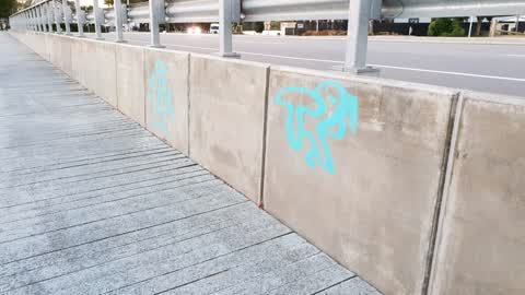 Graffiti — a report photo