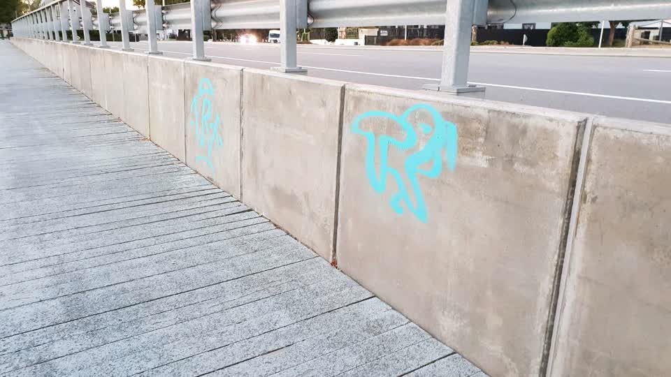 The photograph attached to this graffiti report
