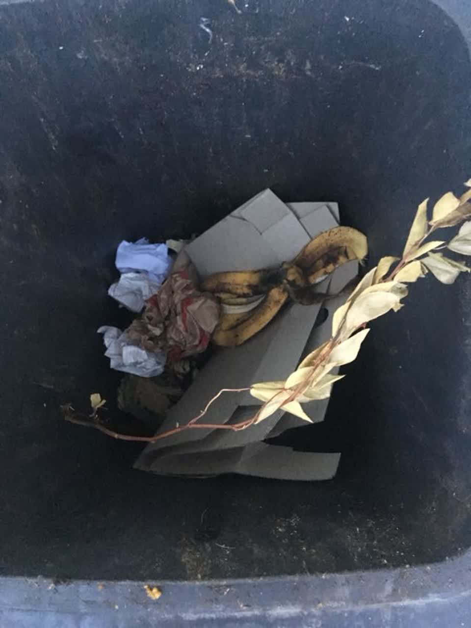 The photograph attached to this rubbish/recycling report