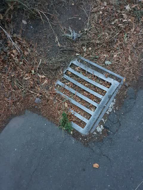 Wastewater/Stormwater, a report photo