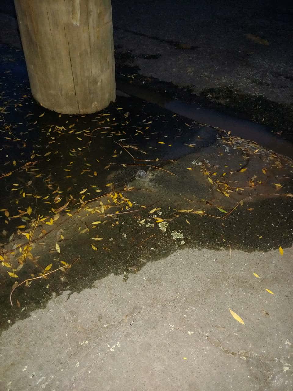 The photograph attached to this flooding report
