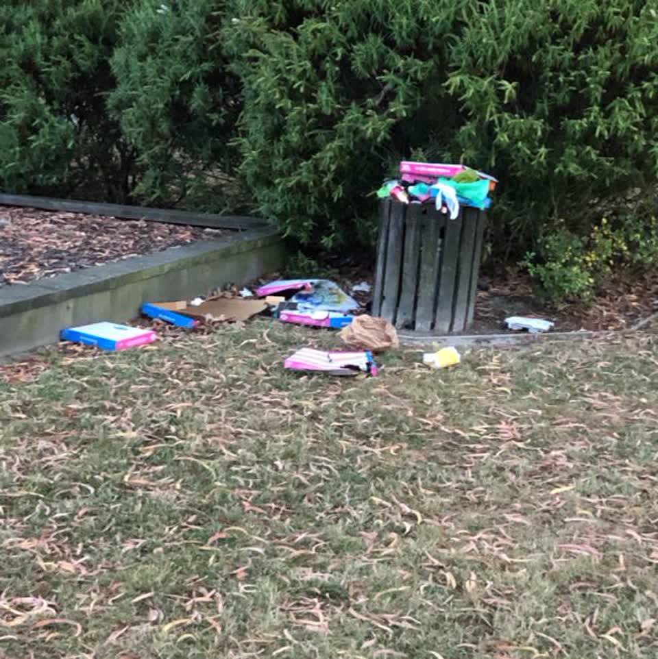 The photograph attached to this parks report