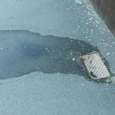Wastewater/Stormwater, a report photo