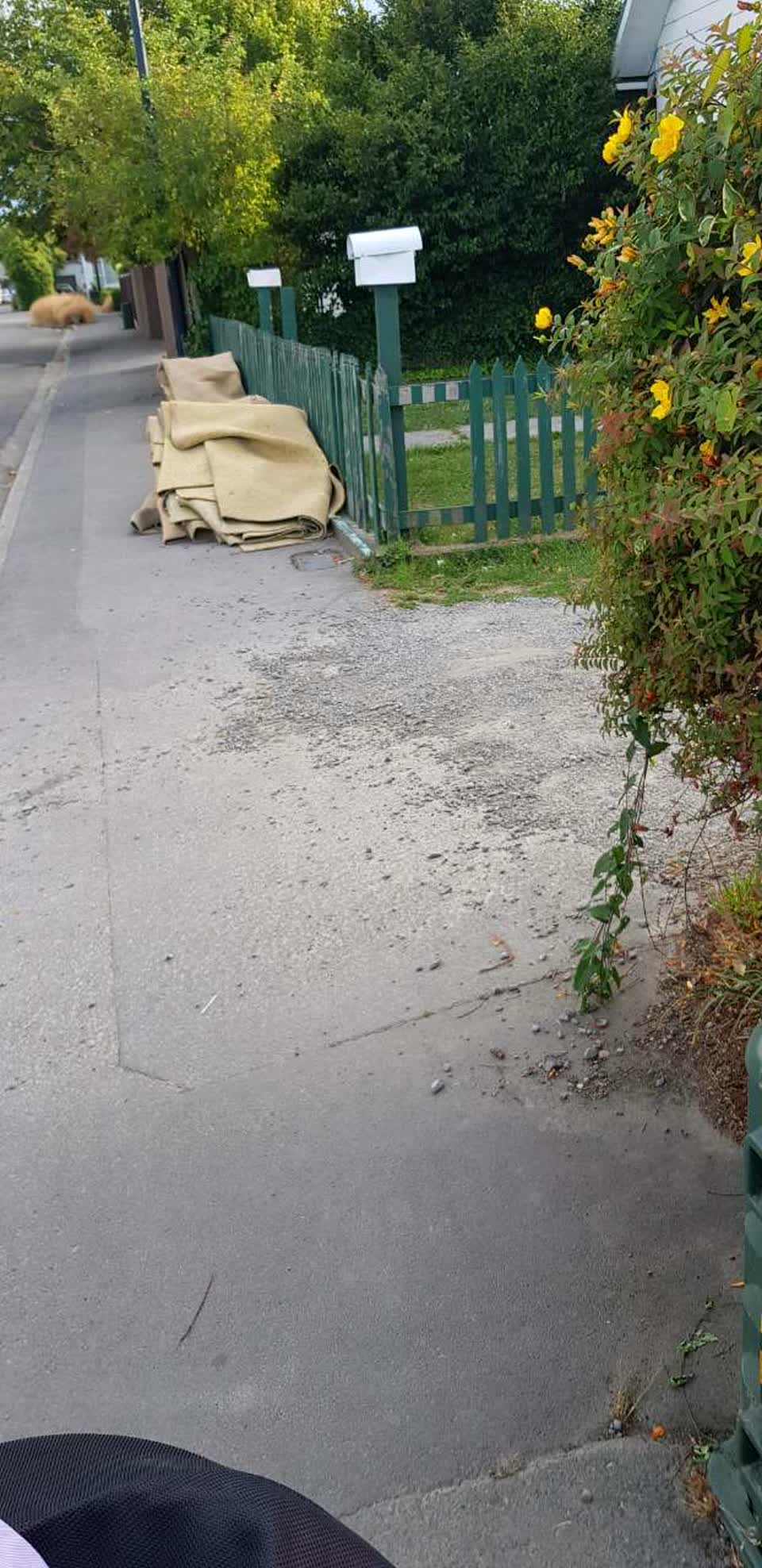 The photograph attached to this rubbish/recycling report