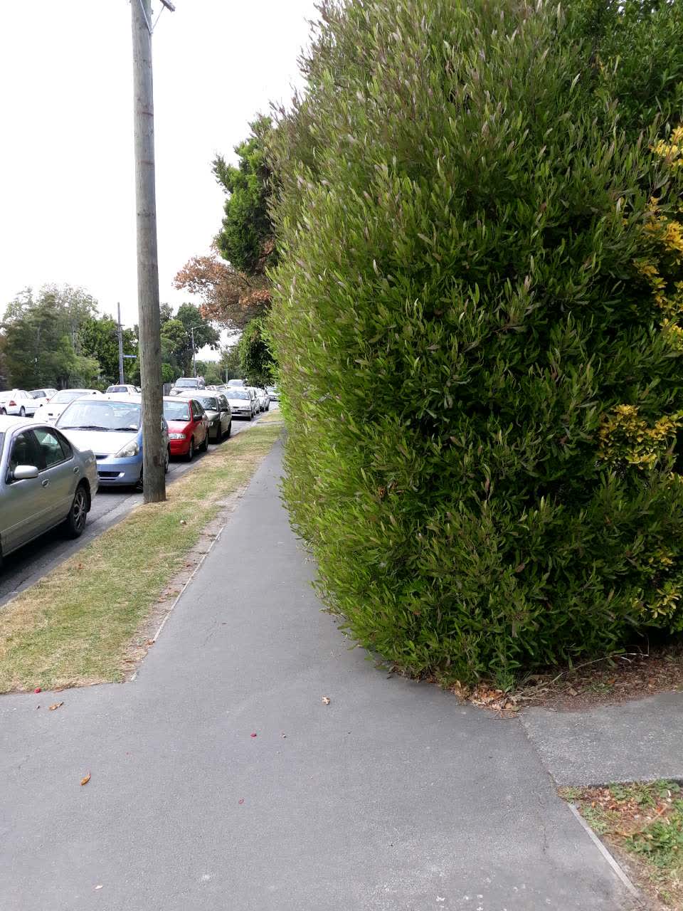 The photograph attached to this roading/streets report
