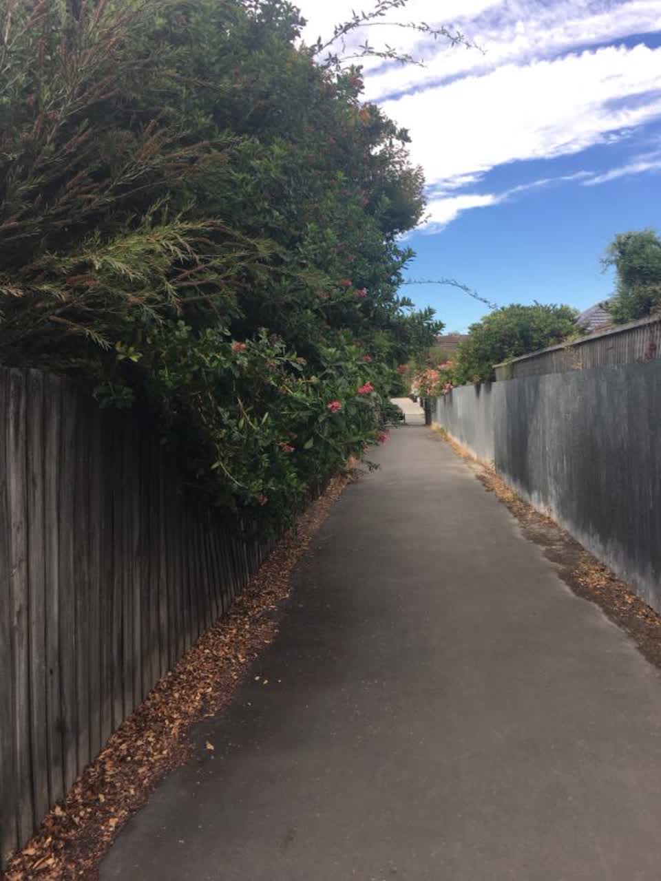 The photograph attached to this parks report