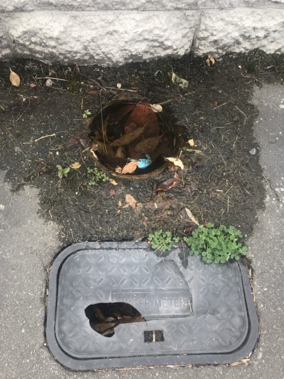 The photograph attached to this water supply report