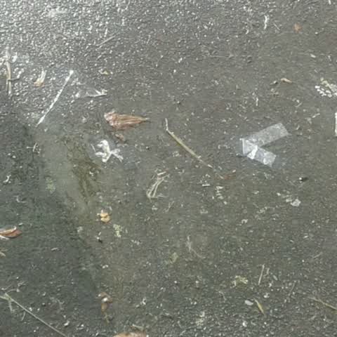 Wastewater/Stormwater, a report photo