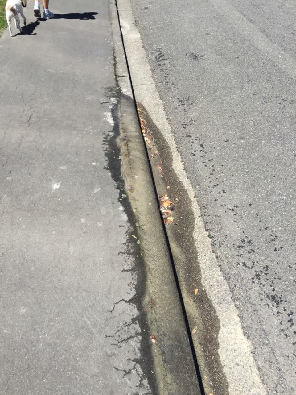 The photograph attached to this water supply report