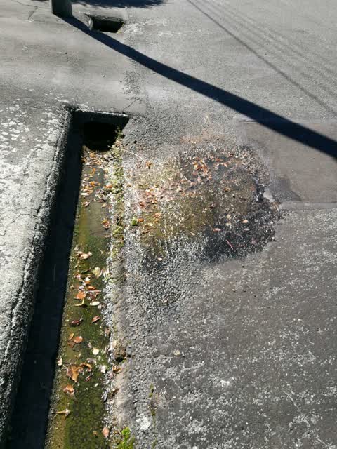 Water Supply, a report photo