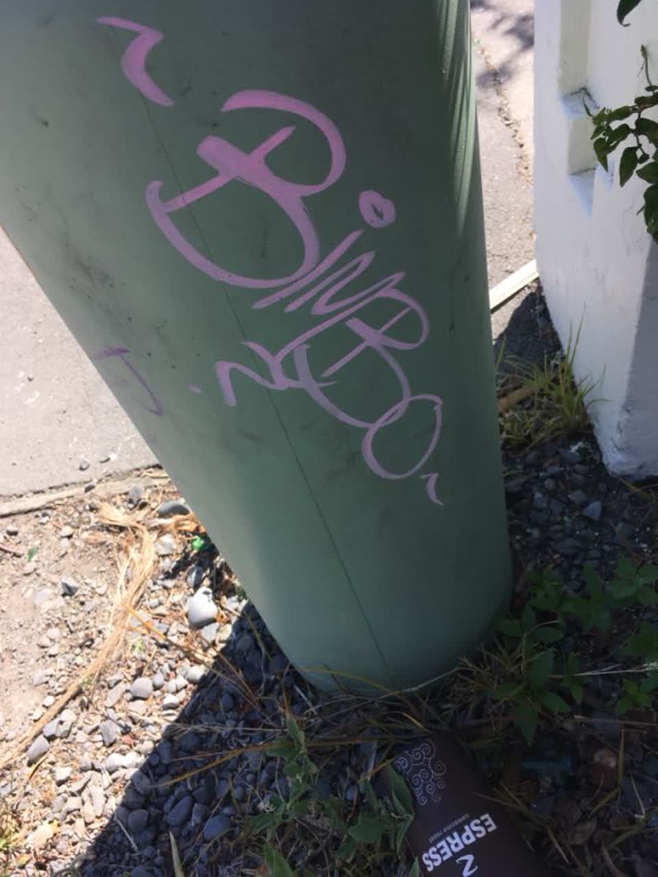 The photograph attached to this graffiti report