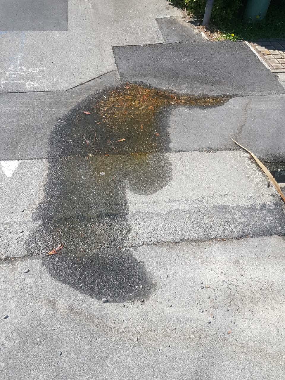 The photograph attached to this wastewater/stormwater report