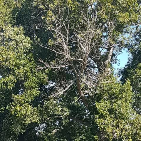 Parks, a report photo