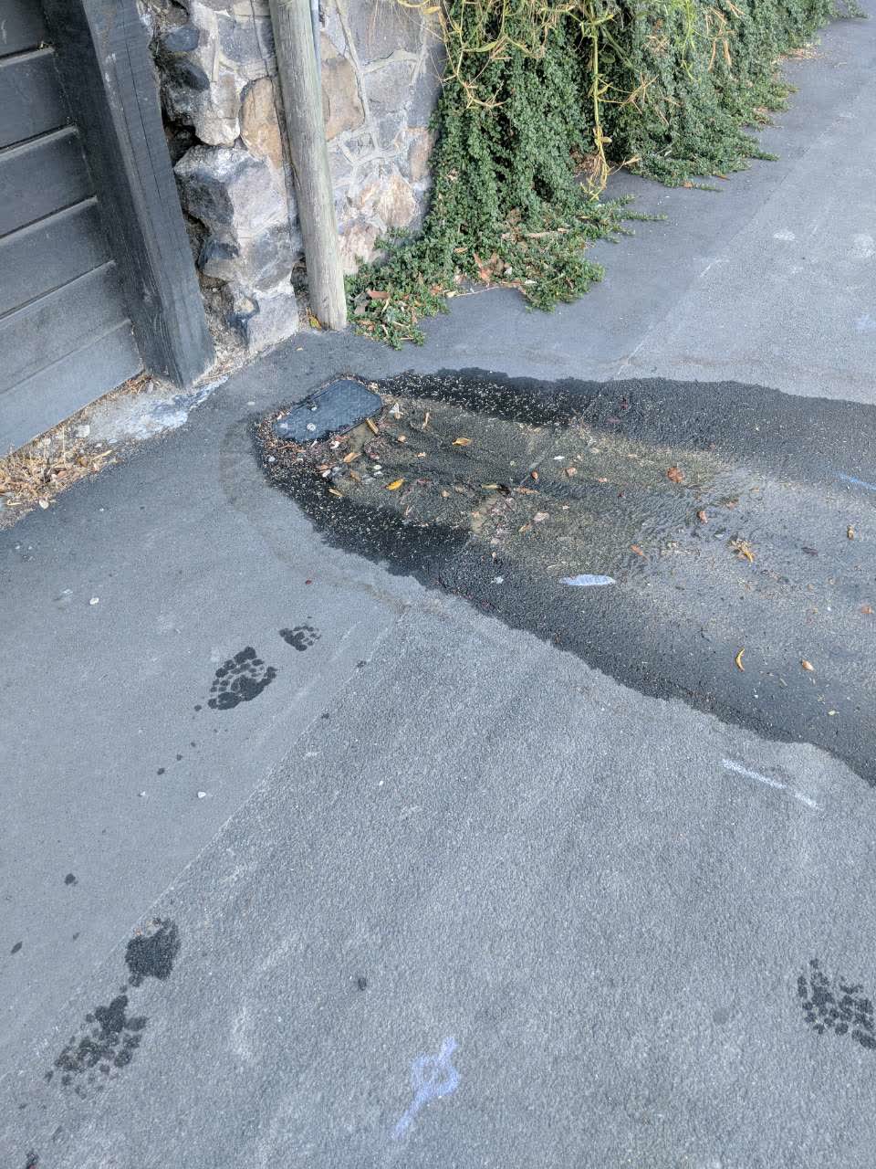 The photograph attached to this water supply report