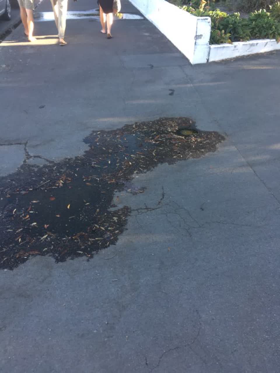The photograph attached to this wastewater/stormwater report