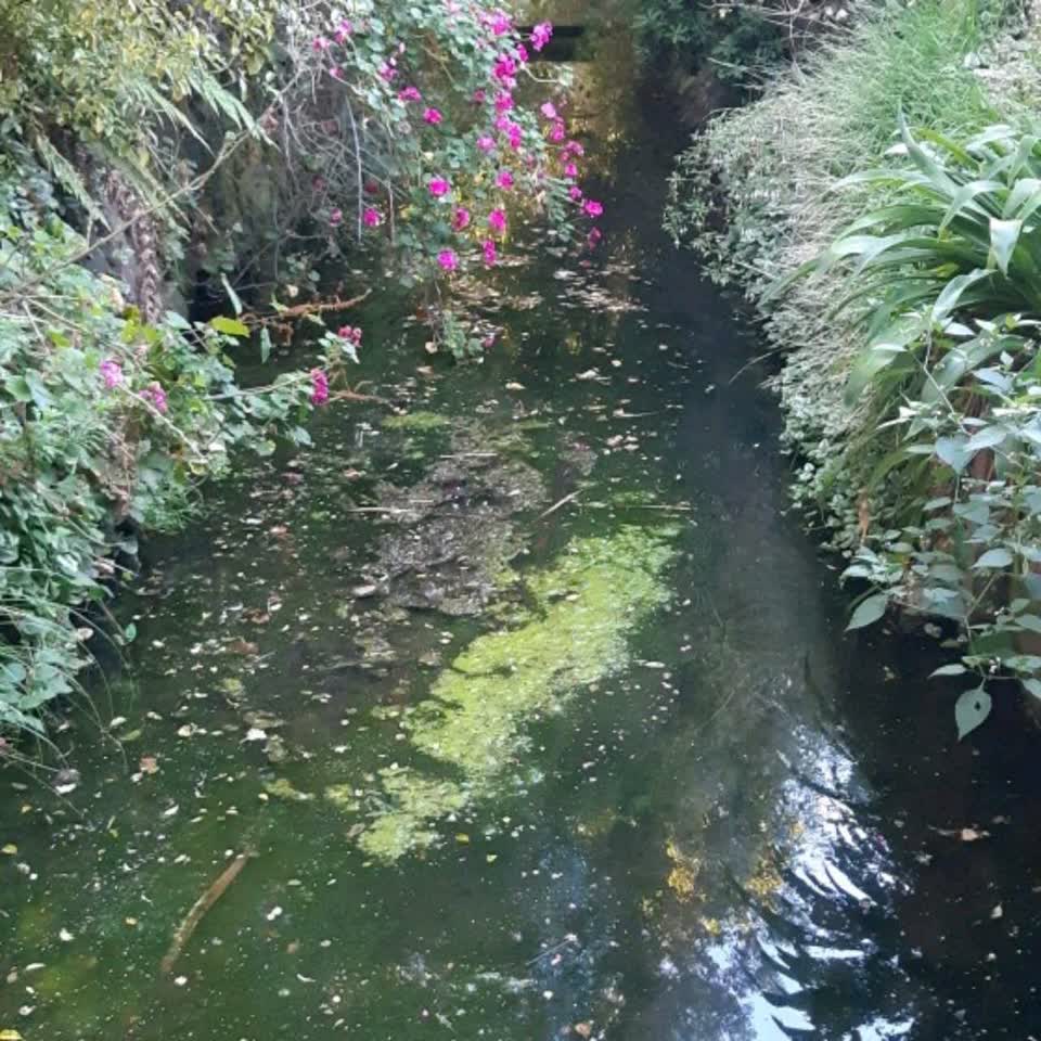 The photograph attached to this wastewater/stormwater report