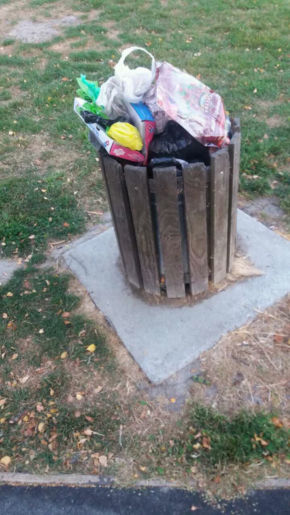The photograph attached to this rubbish/recycling report