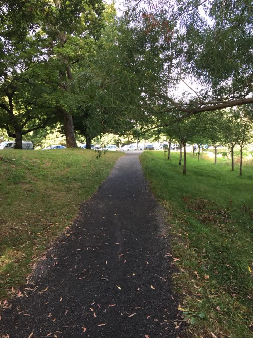 The photograph attached to this parks report