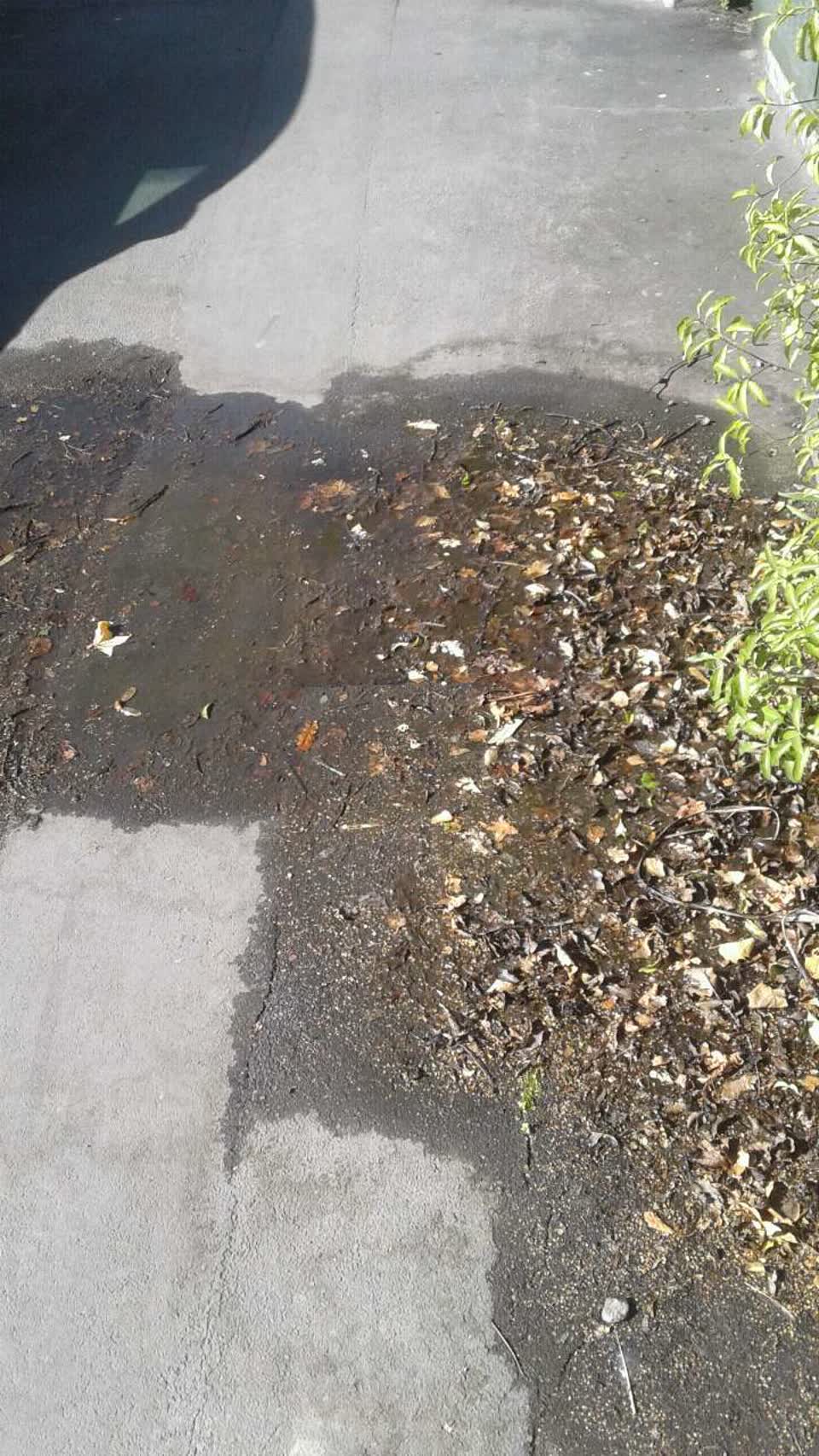 The photograph attached to this water supply report