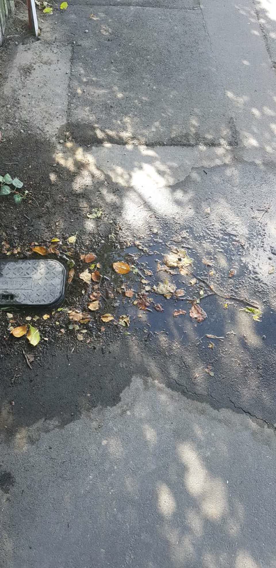 The photograph attached to this water supply report