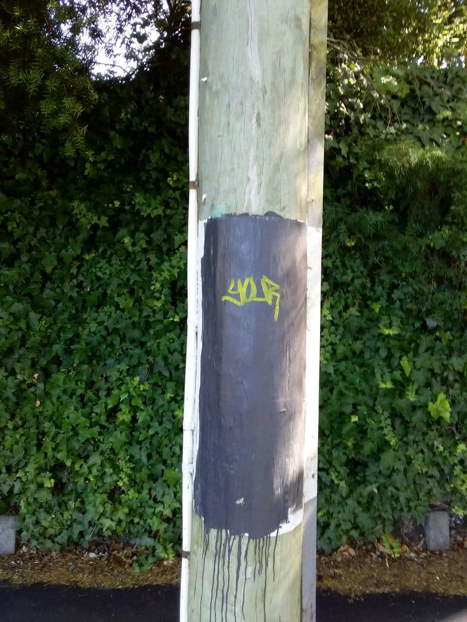 The photograph attached to this graffiti report