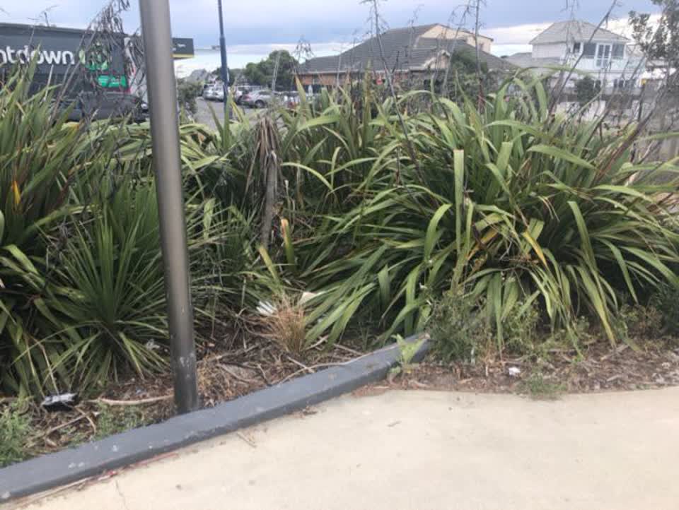 The photograph attached to this parks report