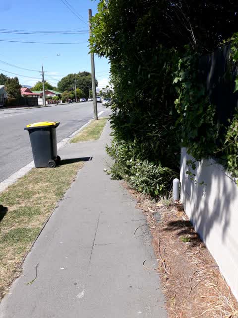 Roading/Streets, a report photo